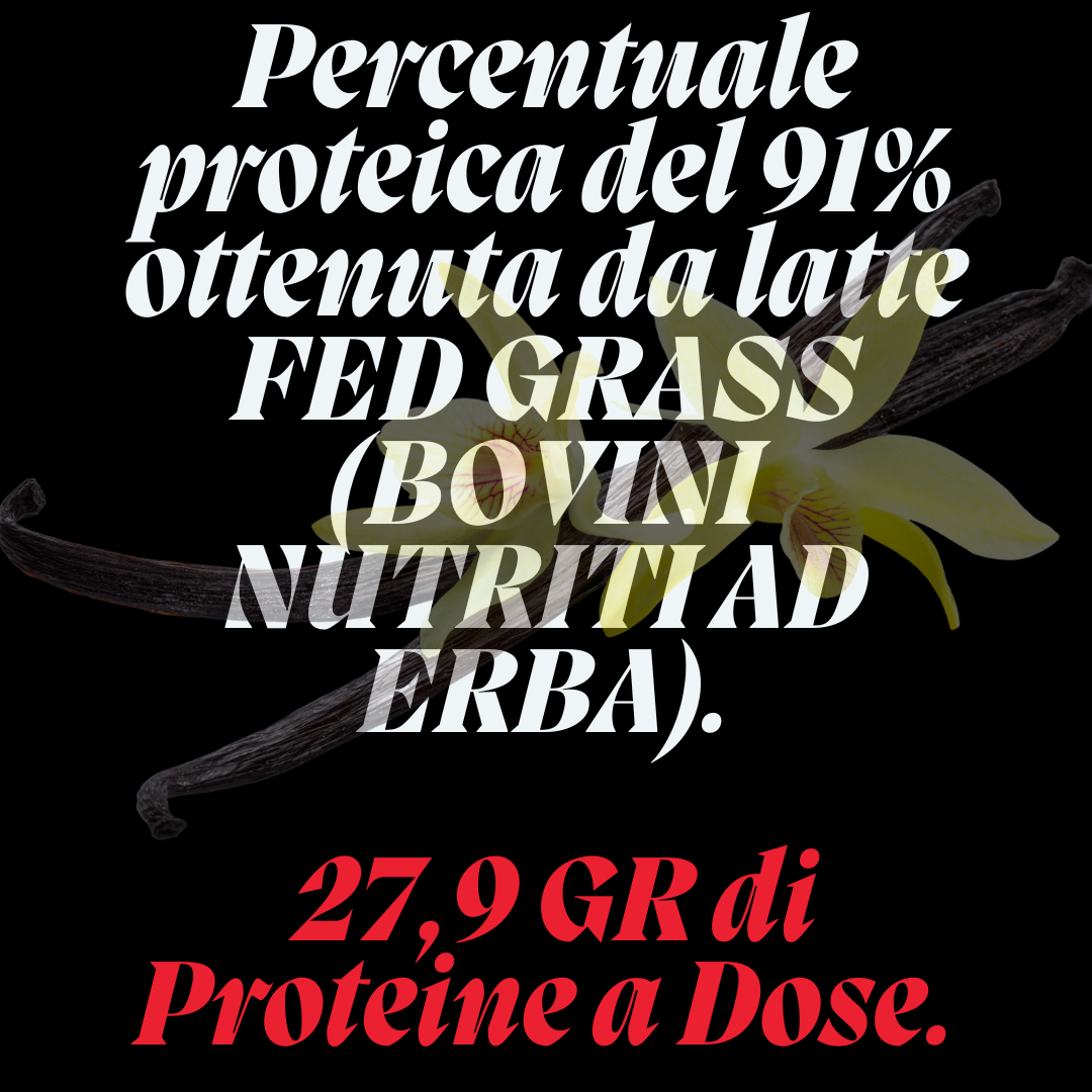 Mond Proteina Isolata alla Vaniglia - Senza Glutine e a Ridottissimo contenuto di Lattosio - Senza Coloranti e Conservanti - Altissima solubilità e digeribilità - 750 gr