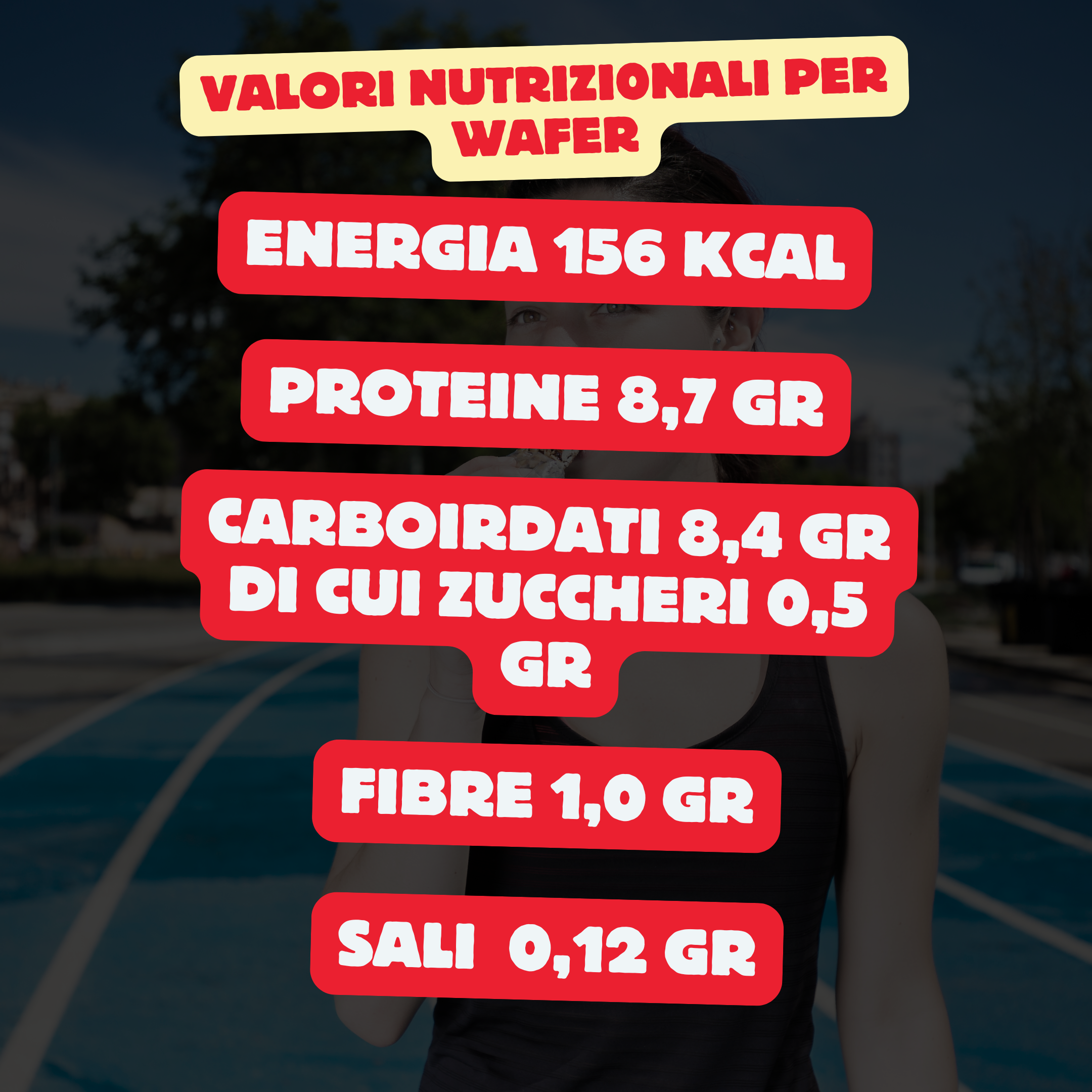 Mond 14 Wafer Proteici Nocciola Cioccolato da 30 gr - Sostituto Pasto - Low Carb - Senza Glutine - Made In Italy - Qualità Top